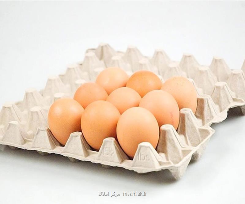 تخم مرغ خوراکی صنعتی و محلی