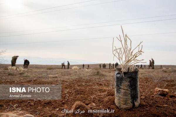 آخرین وضعیت بوستان های روستایی تهران