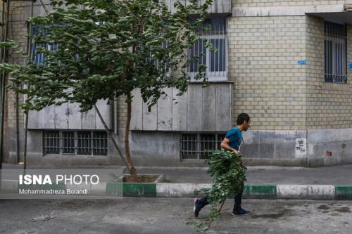 احتمال وزش باد شدید در جنوب و غرب تهران