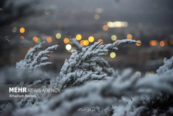 اخطار هواشناسی به 25 استان خسارت به محصولات کشاورزی با تشدید بارندگی ها