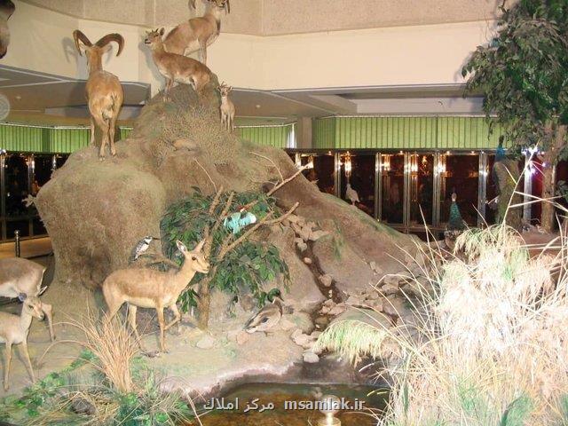 برگزاری تورهای گردشگری خانه های تاریخی و موزه های تهران در اینستاگرام