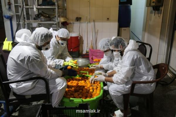 تهیه و توزیع روزانه 2000 آبمیوه طبیعی ویژه مدافعان سلامت و بیماران كرونایی