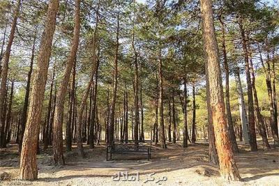 ۴ بوستان جنگلی تهران تا ۱۵ اردیبهشت تعطیل می باشد بعلاوه اسامی